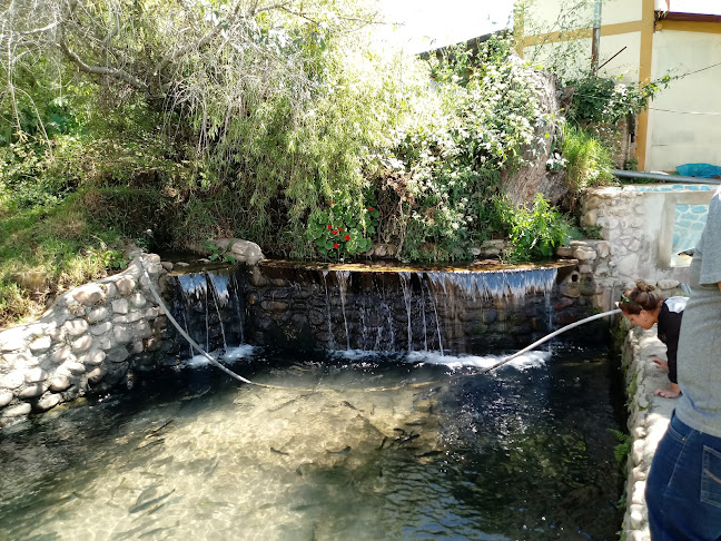 Comentarii opinii despre Restaurante Cevicheria EL CHULUCANEÑO