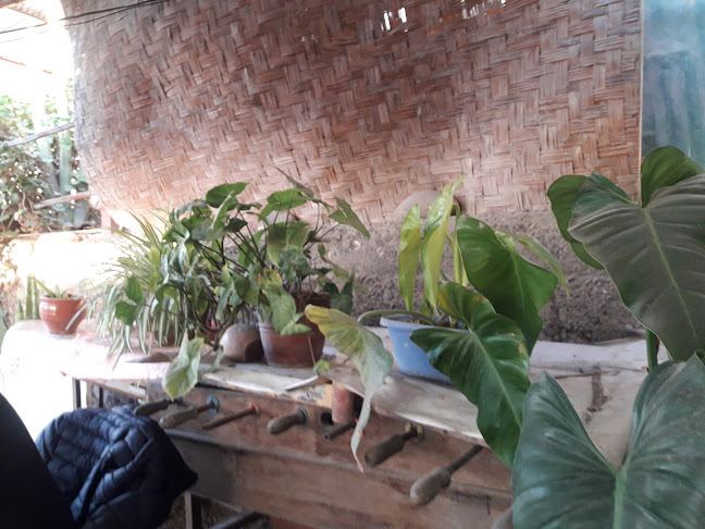 Restaurante Pukushllay - Gastronomía y hostelería