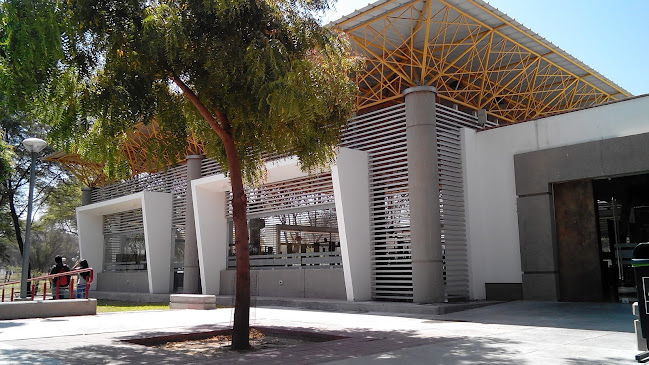 Cafetería Sartén y Mango - Udep - Gastronomía y hostelería