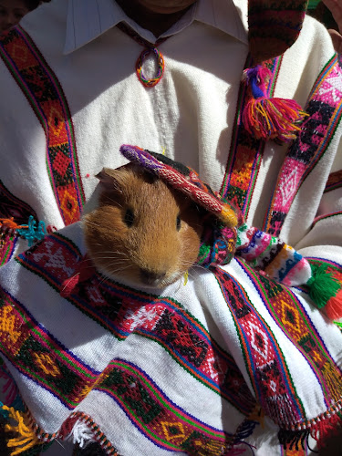 Comentarii opinii despre Mercado de Huancaro