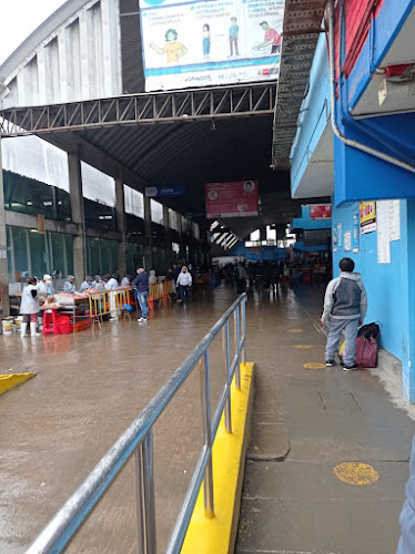 Terminal Pesquero VMT