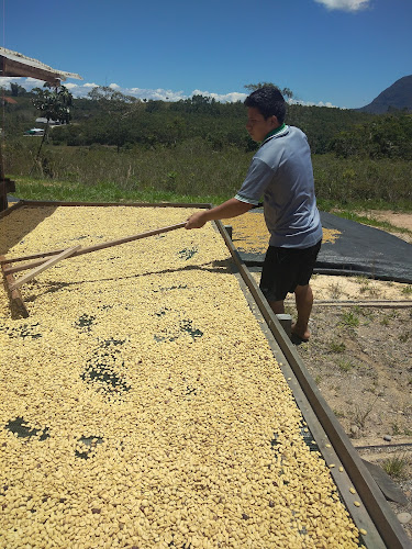 Cooperativa de Servicios Múltiples Frutos de Selva - Moyobamba