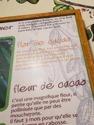 Comentarii opinii despre La Rabona