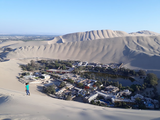 Wild Olive Trattoria & Guest House - Huacachina