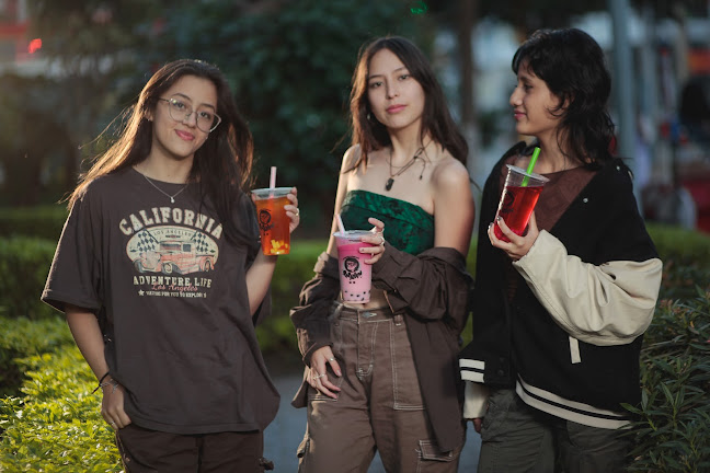 Comentarii opinii despre Papayan