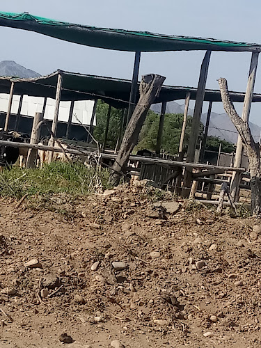 Opinii despre Hamburguesas "El Tío Noé" în Pacasmayo - Gastronomía y hostelería