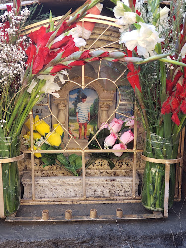 Comentarii opinii despre Recreo Campestre El Pionero. San Miguel De Mayocc