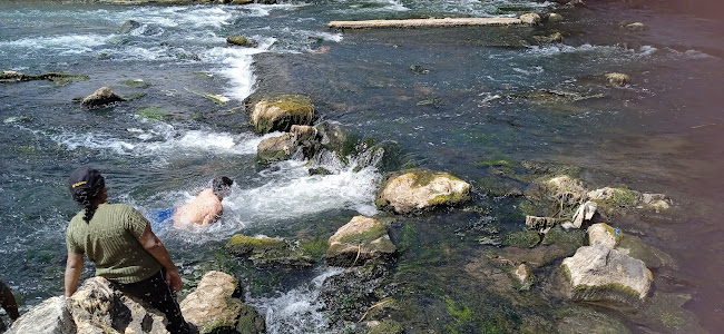Opinii despre Mercado Central San Pablo în San Pablo - Gastronomía y hostelería