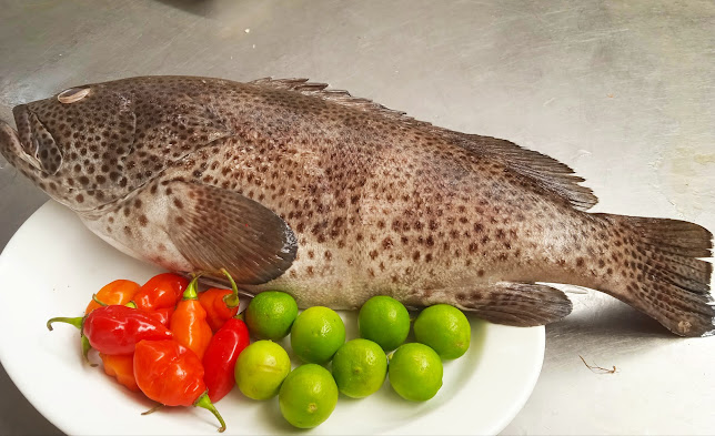 Bebé Mero - Restaurant