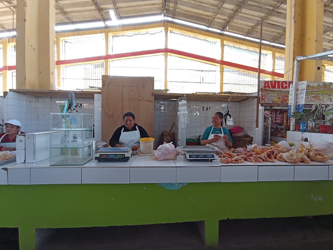 Mochica 132, Amarilis 10003