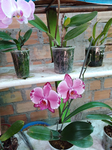 Jirón Colón 919, Rioja 22826