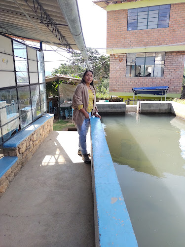 Recreo Criadero De Truchas " El Paraiso" - Gastronomía y hostelería