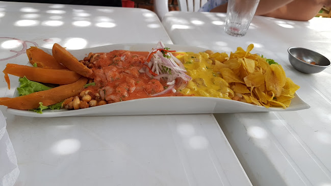 WW67+645, Paita 20701