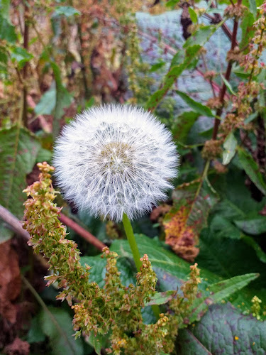 P5X9+QWQ, San Pedro de Cajas 12720