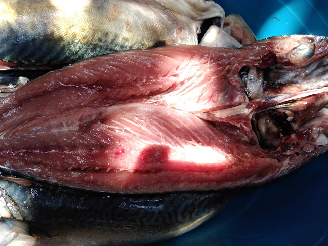 Comentarii opinii despre Resto - Bar La Esquina Norteña