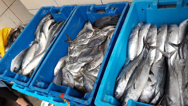 Avícola adrianito - Huaraz