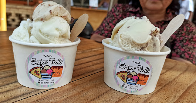 Helados Artesanales Señor Trol's