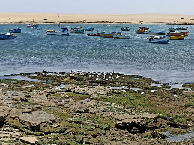 Restaurant-Cevichería La Tia Fela - Paracas