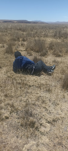 Opinii despre GELATO FRUT - Helado Frito în Juliaca - Gastronomía y hostelería