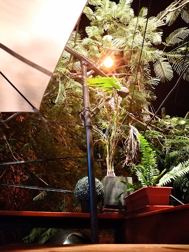 Comentarii opinii despre La Burguesia Piura