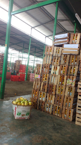 Mercado de Frutas El Palmo - Gastronomía y hostelería