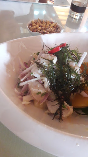 Comentarii opinii despre Camotitos 1