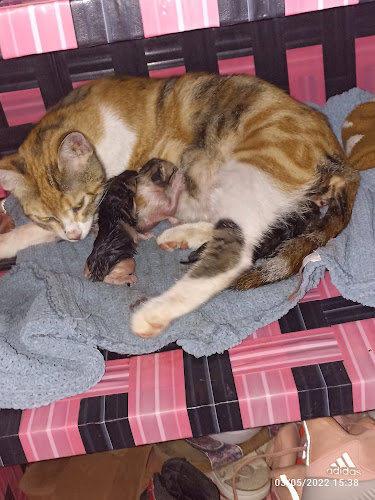 Opinii despre La Casa Del Menú în Paita - Gastronomía y hostelería