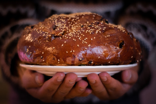 Comentarii opinii despre Planta de Producción Marcelino's