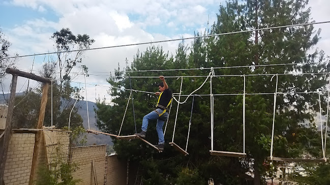 Comentarii opinii despre D'MALKS