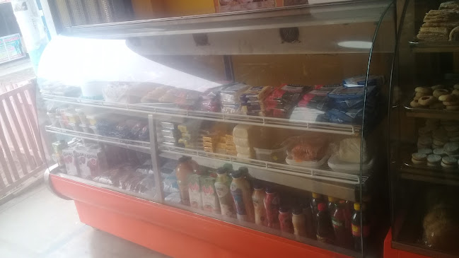 Panaredia mota - Callao