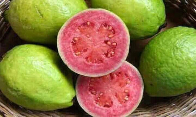 Fernandini, MZ A LT 7, Sta Marina, Callao 07006