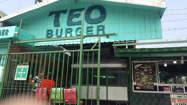 Teo Burger