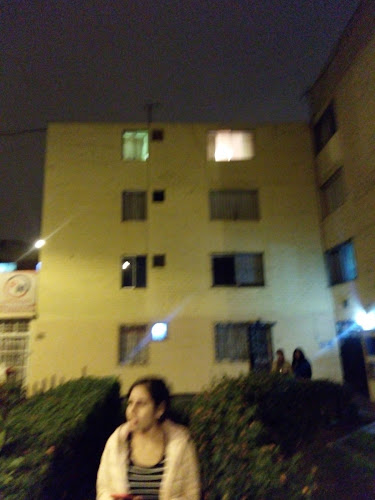 Misionero Pl 293, Callao 07002