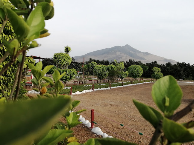 Comentarii opinii despre Restaurante campestre yokota