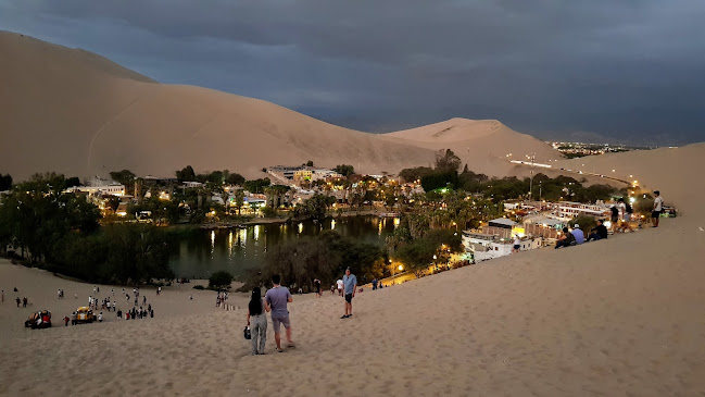 Comentarii opinii despre Wild Olive Trattoria & Guest House