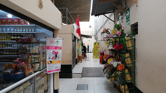 Jirón José Pezet y Monel 2080, Lince 15073