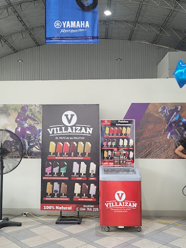 VILLAIZAN Helados y Paletas Artesanales - Tarapoto