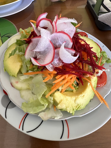 RESTAURANT VEGETARIANO EL PARAISO