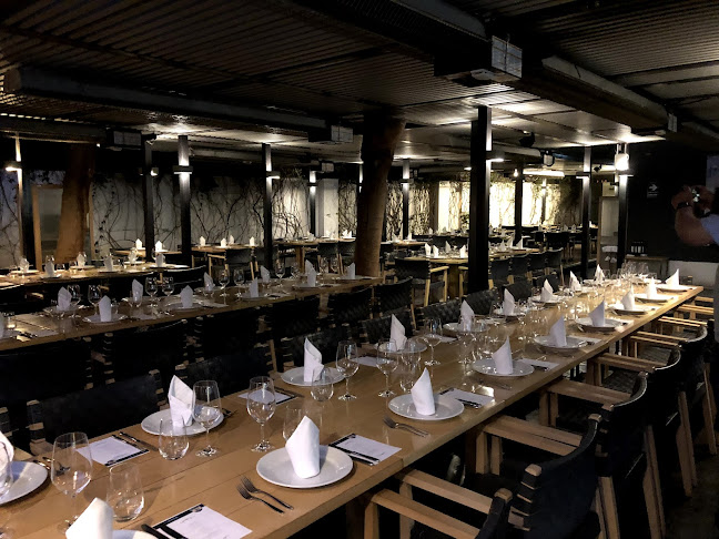 Comentarii opinii despre Amoramar