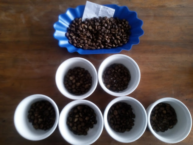 Cooperativa de Servicios Múltiples Frutos de Selva - Moyobamba