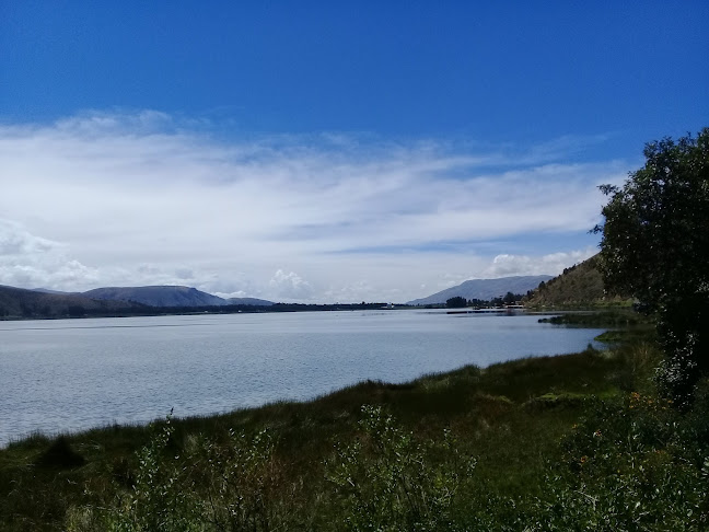 Comentarii opinii despre Recreo Campestre "El Toro De Oro"