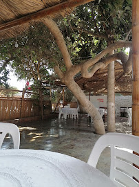 Restaurant Camprestre El Bosque