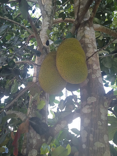 Comentarii opinii despre Induagro Fertilizer