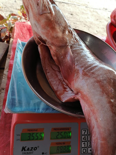 Negocios B&C - Gastronomía y hostelería