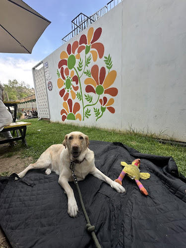 Francisco Bolognesi S/N, Yanahuara 04017