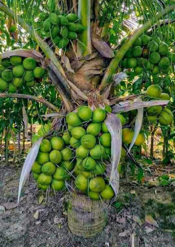 91000, República Dominicana