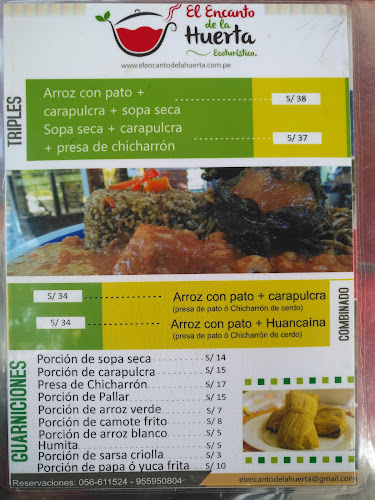 C. Prol. Fermin Tanguis 347, Ica 11001