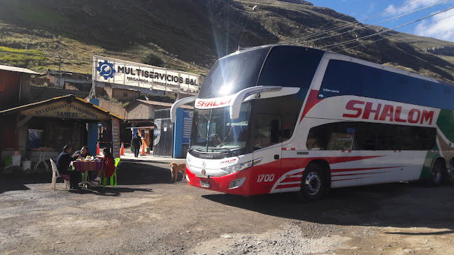 Comentarii opinii despre Pachamanca Samuel