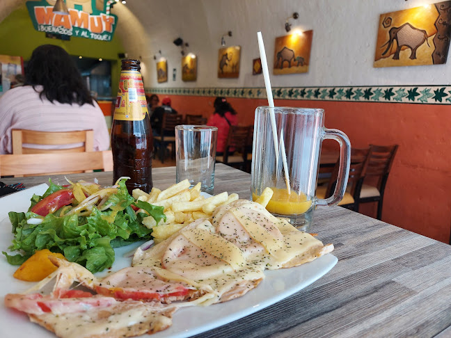 Comentarii opinii despre Mamut