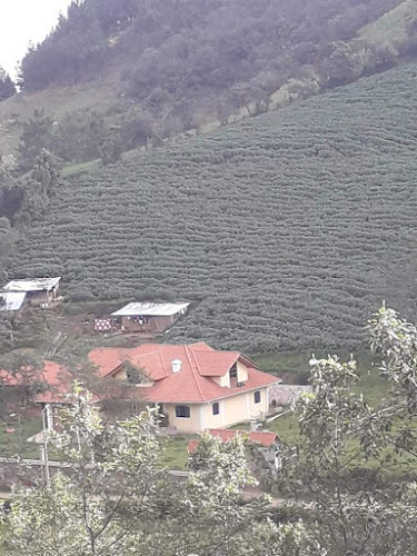 Comentarii opinii despre CASA DE CAMPO FAMILIA MENDOZA